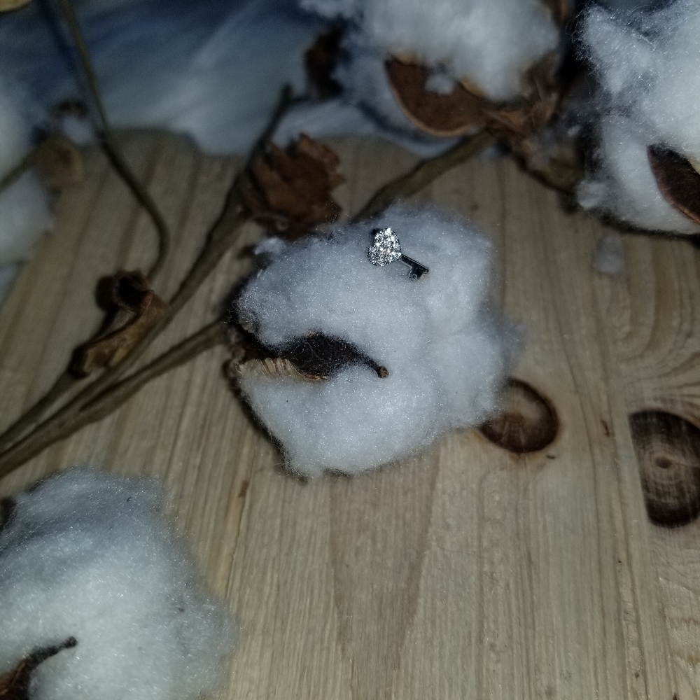 ππ#61 Pretty Silver CZ Key cartilage earringππ - Picture 5 of 6